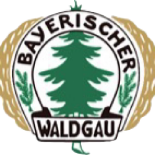 Gaujugendfest Bayer. Waldgau